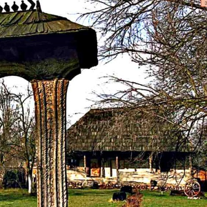 ROMANIA - casa memoriala BRANCUSI  din HOBITA