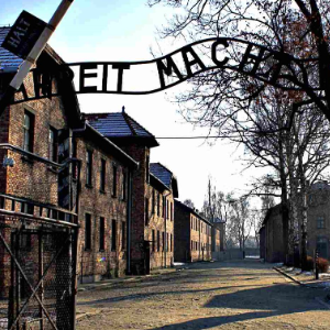 AUSCHWITZ sau culoarea unui DEZASTRU UMAN 