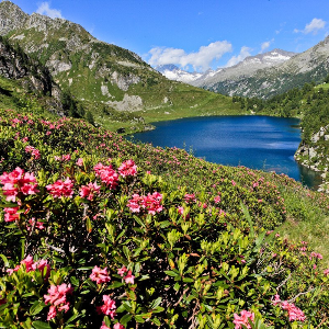 Parcul Natural Adamello - Brenta