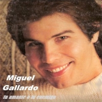 MIGUEL GALLARDO.pps