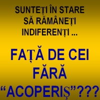 fara_acoperis