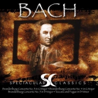 THE DIVINE MUSIC OF BACH