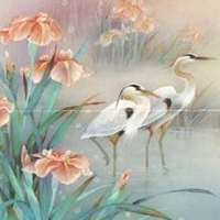 CREATIONS LENA LIU-PAINTER