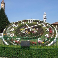 Floral clocks
