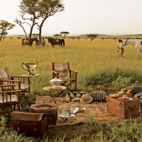 Holidays in Africa