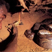 Snake catchers in Africa