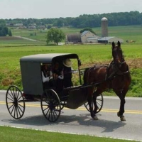 Comunitatea Amish