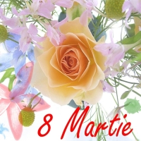 8 Martie infloritor