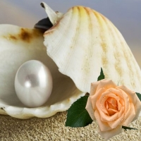 Perla si Trandafirul