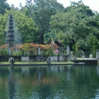 Gradina palatului Tirtagangga, Bali
