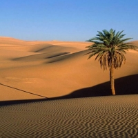 Le désert des Touaregs