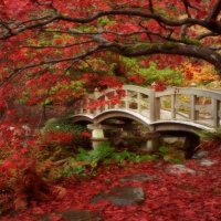Japanese Garden...minunatele gradini japoneze