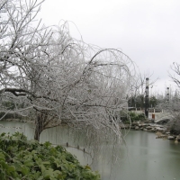 After ice rain in South China