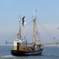 Aan het Noordzeestrand