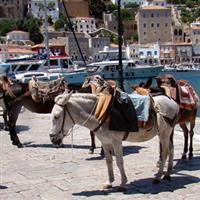 itinerar balcanic 25 Grecia - la plimbare prin Hydra a
