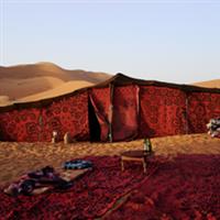 Viata in cort de beduin