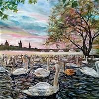 Pictand tabloul ”Lebede pe raul Valtava din Praga!”