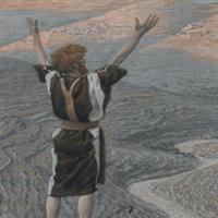 Capitolul 3 Partea II-a din Matei – Biblie Noul Testament