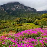 South Africa (parks and gardens) - Tony, Steve