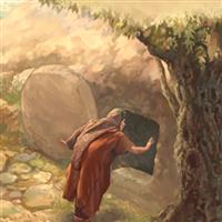 REMIX - Biblia Noul Testament Matei  Capitolul 28  Partea I 