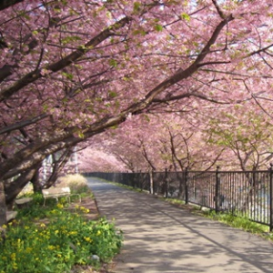 Cântec de primăvară - Nichita Stănescu; Muzica: Yiruma – Spring Time