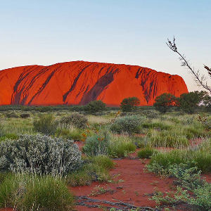 Australia (Uluru-Kata Tjuta NP) - Steve