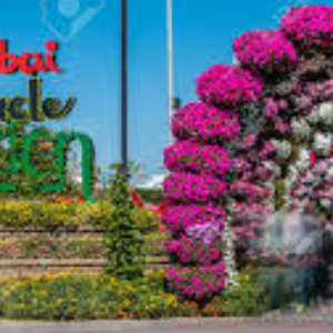 Dubai - Miracle Garden