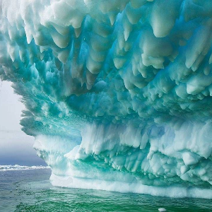 Symphonie blanche en Antarctique
