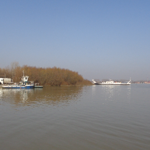 Pe lângă Dunăre, în Dobrogea