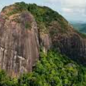 LE PARC AMAZONIEN DE GUYANE