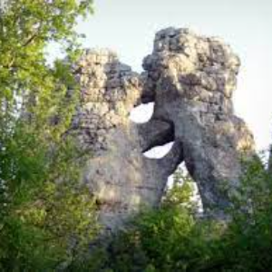 Les sculptures naturelles du bois de Païolive en Ardèche