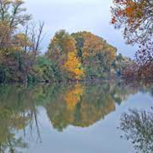 L’automne dans un miroir 4