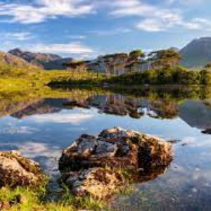 Bienvenue au Connemara