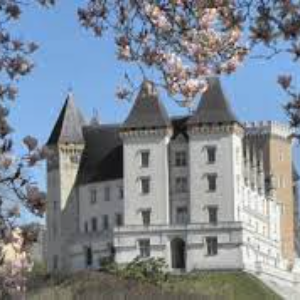 Le Château De Pau N°2
