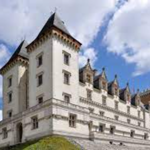 Le Château De Pau N°1