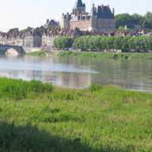 Loire, fleuve royal 