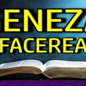 Biblie Vechiul Testament - Geneza Capitolul 7