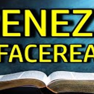 Biblie Vechiul Testament - Geneza Capitolul 42