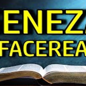 Biblie Vechiul Testament - Geneza Capitolul 44