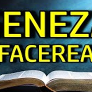 Biblie Vechiul Testament - Geneza Capitolul 48