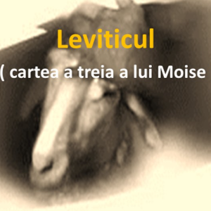 Biblie Vechiul Testament - Leviticul Capitolul 9