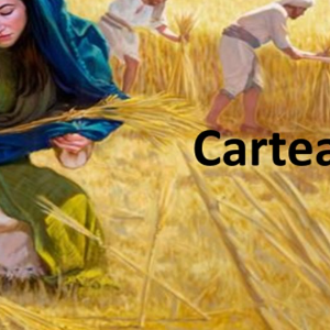 Biblie Vechiul Testament -Cartea Rut  Capitolul 4