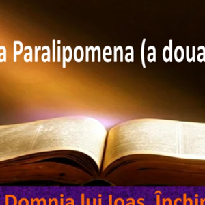 Biblie Vechiul Testament - Cartea a doua Paralipomena (a doua a Cronicilor) Capitolul 24