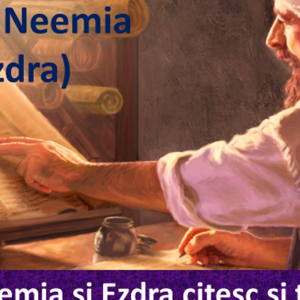 Biblie Vechiul Testament -Cartea lui Neemia (a doua Ezdra)  Capitolul 8