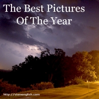 The Best Pictures Of The Year