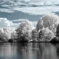 INFRARED PHOTO GALLERY