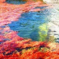 THE MOST COLOURFUL RIVERIN THE WORLD