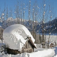 Imagini de iarna