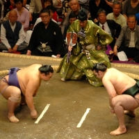 Old sports - sumo