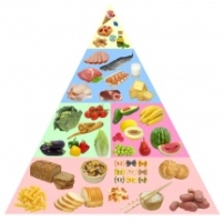 Piramida alimentara a copiilor